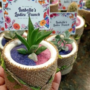 Macetas con cactus o suculentas como recuerdos vivos